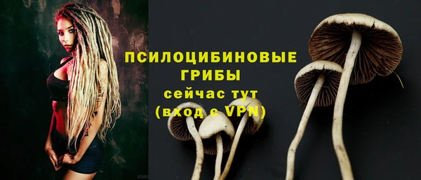 хмурый Лагань