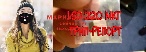 хмурый Лагань