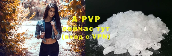 хмурый Лагань