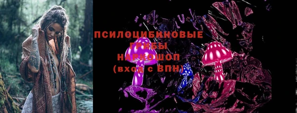 СК Ладушкин