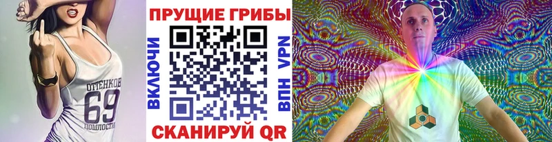 Купить закладки Иваново Галлюциногенные грибы ЛСД